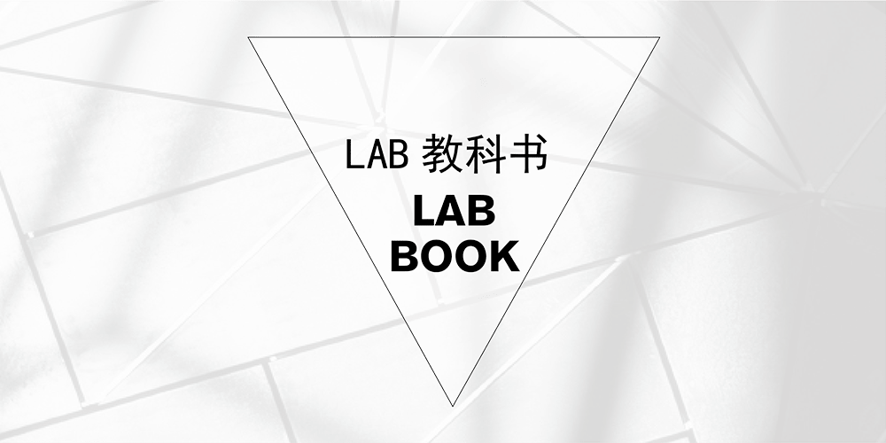 LAB BOOK